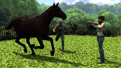 Wild Horse